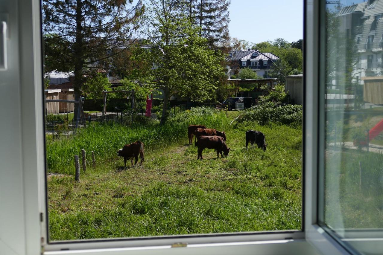 Landhaus Dreesen Appartement Timmendorfer Strand Buitenkant foto